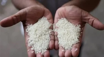 تغيرات جديدة تلاحق سعر طن الأرز في الأسواق المحلية والمجمعات الاستهلاكية